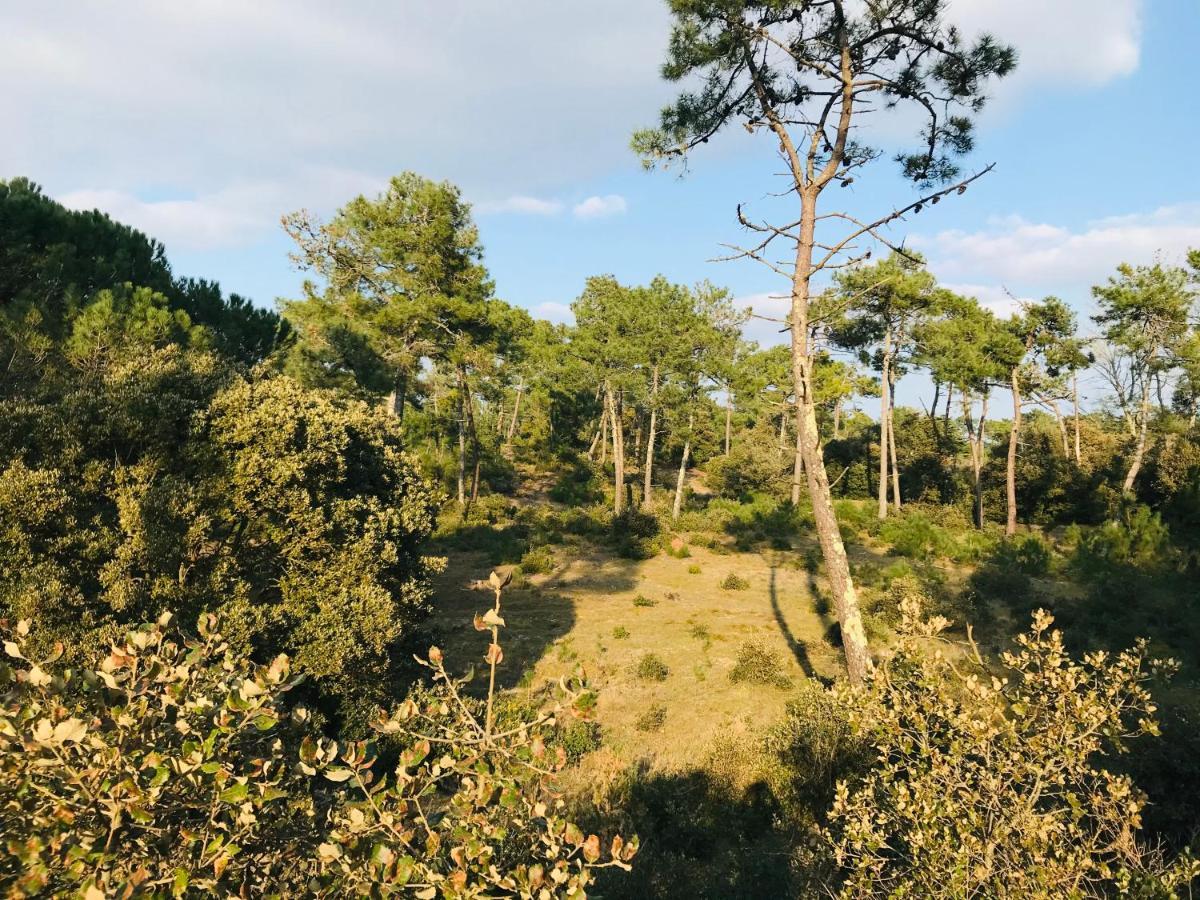 Maison Des Dunes, A 100M De La Mer Saint-Hilaire-de-Riez Bagian luar foto